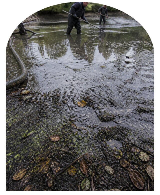 Очистка пруда в Сальске от ила мусора и водорослей с вывозом